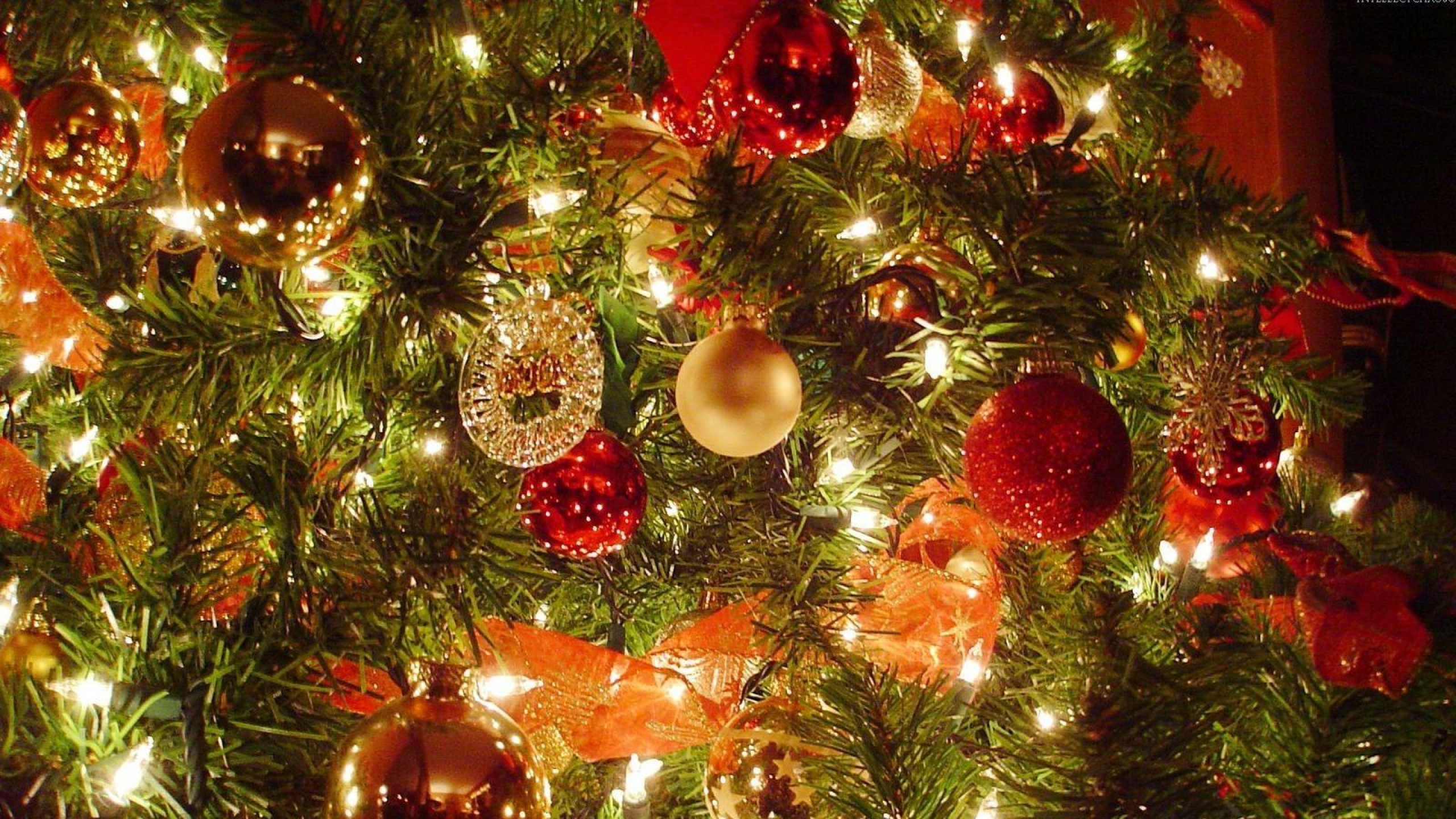 Gifts and Celebrations Make Holidays Bright for URI’s Shelter Families