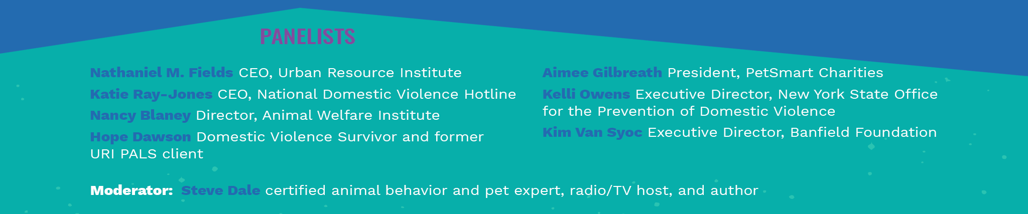 2048x1024_HERO_Panelists-DV-SUMMIT Graphic listing panelists which are mentioned below