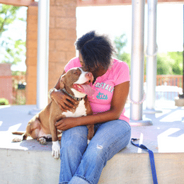 Banfield Foundation